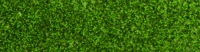Glitter-Green