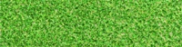 Glitter-Kiwi