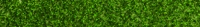 Glitter-Green